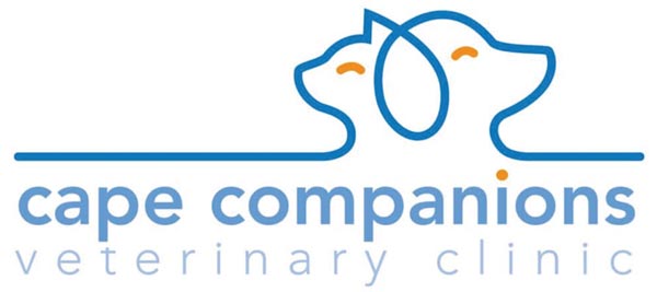 ccvc logo