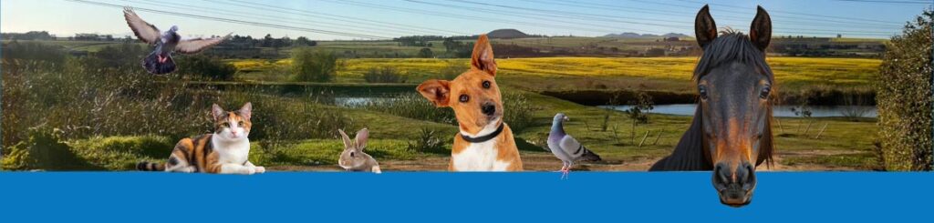 website image with animals